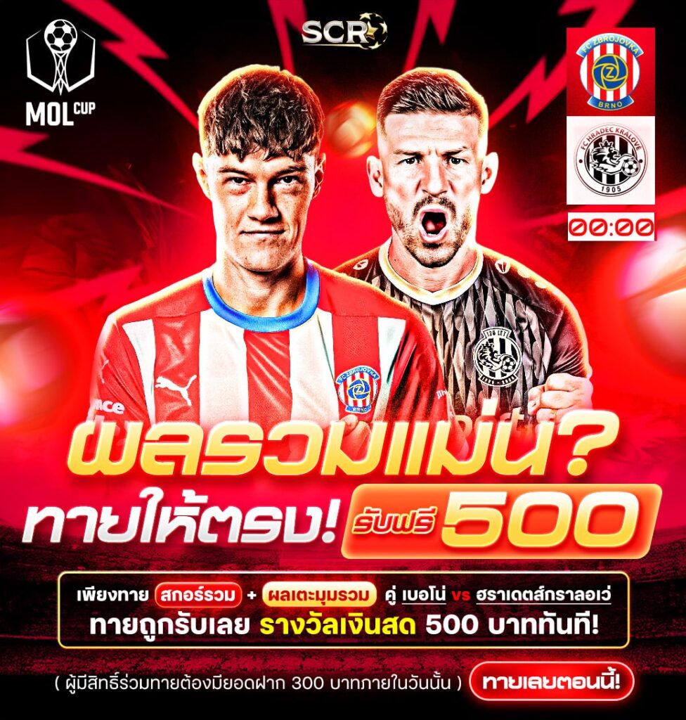 กิจกรรม 12.11.2025